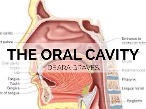 Exploring the Cultural Significance of the Azure Oral Cavity