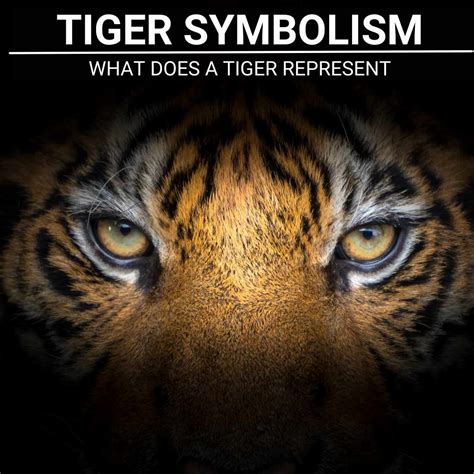 Exploring the Cultural and Historical Significance of the Tiger Symbol