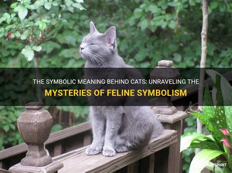 Exploring the Dark Side: Understanding the Symbolic Meaning of Feline Consumption