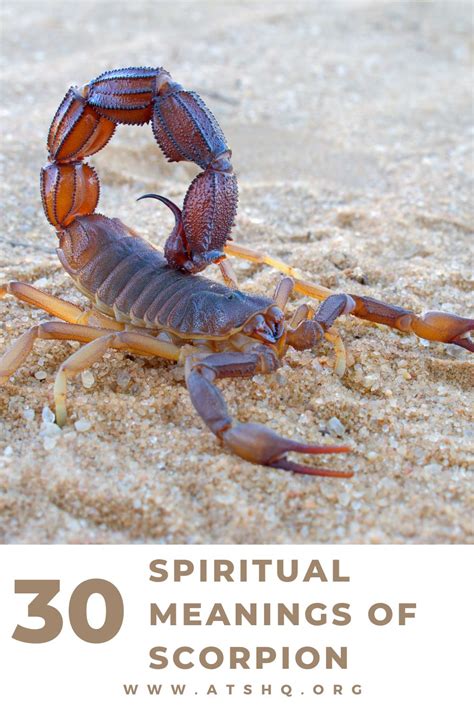 Exploring the Dark and Light Aspects of Scorpion Symbolism in Dreams