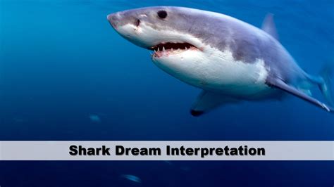 Exploring the Deep: Sharks in Dream Analysis