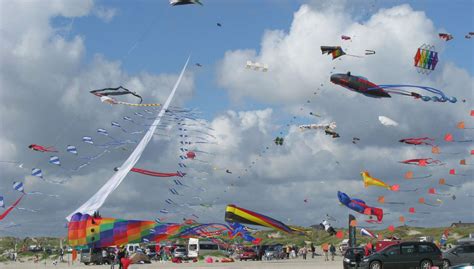 Exploring the Diversity: Various Types of Kites for Different Objectives