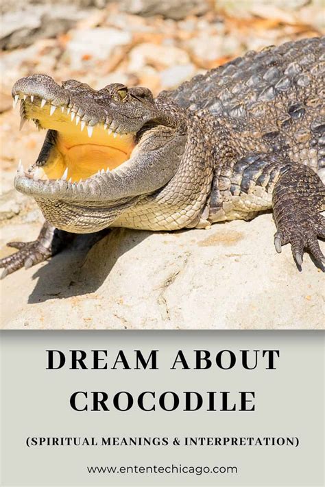 Exploring the Diversity of Crocodile Dream Interpretations: From Anxiety to Empowerment