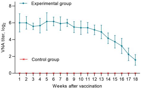 Exploring the Dynamics of the Maternal-Offspring Bond