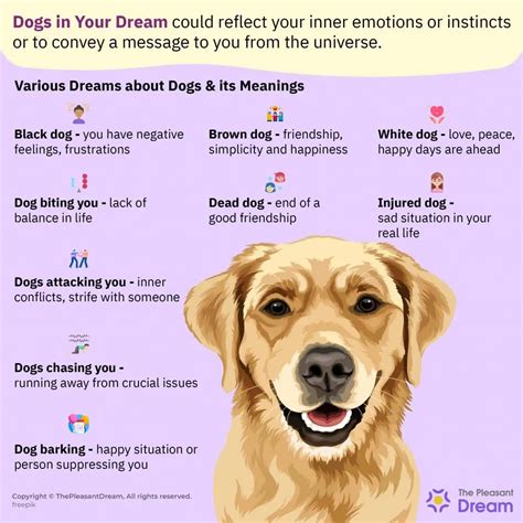 Exploring the Emotional Significance of A Pet's Consumption in Dreams