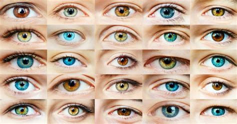 Exploring the Enigma: Glimpsing into the Connection Between Grey Eye Color and Personality Traits