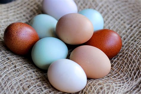 Exploring the Evolution of Beliefs Surrounding Fried Eggs: Tracing the Transition from Ancient Superstitions to Modern Conceptions