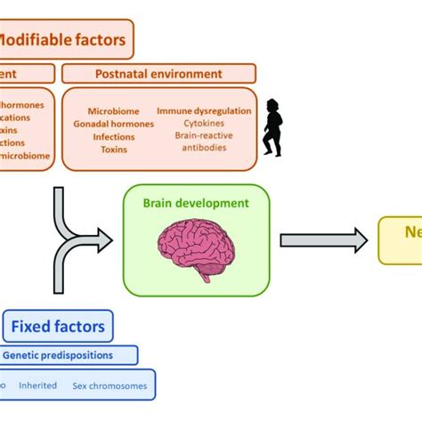 Exploring the Factors Influencing the Development of Pica Disorder
