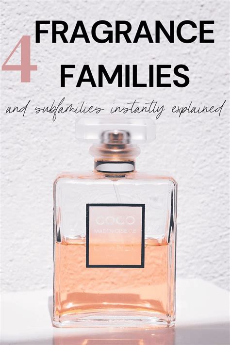 Exploring the Fascinating Fragrance Families