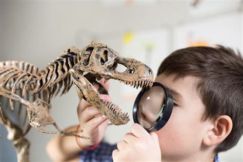 Exploring the Fascination with Dinosaurs