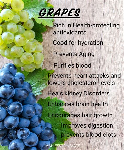 Exploring the Health Benefits of Indigo Grapes