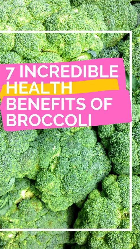 Exploring the Incredible Health Benefits of Broccoli