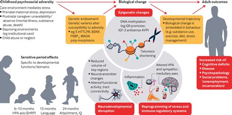 Exploring the Influence of Early Life Experiences