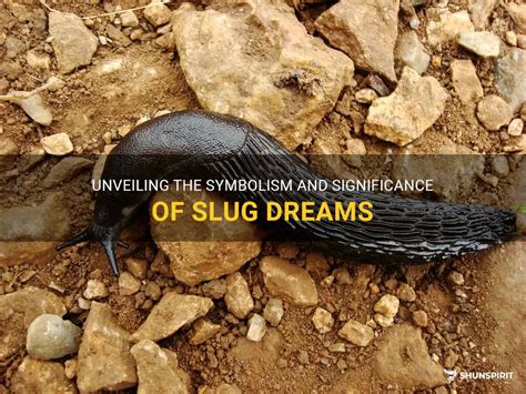 Exploring the Intriguing Symbolism of Slugs in Dreams