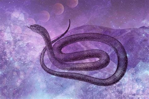 Exploring the Meaning Behind Serpent Dreams