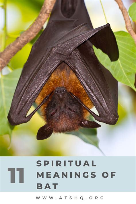 Exploring the Mystical Significance of a Bat's Demise in Your Dreams