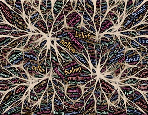 Exploring the Neurological Connections