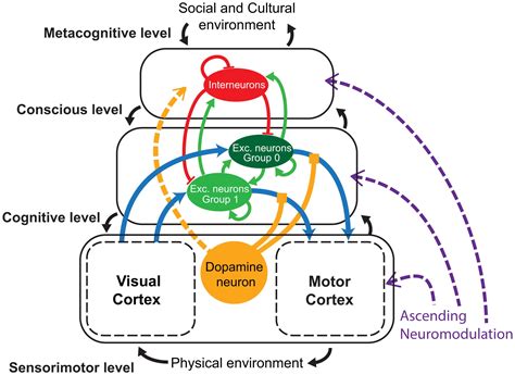 Exploring the Neurological and Cognitive Mechanisms underlying Preternatural Conversations in Oneiric States