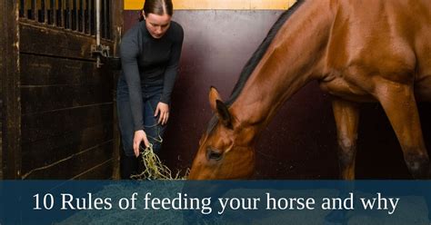 Exploring the Nutritional Advantages of Equine Cuisine