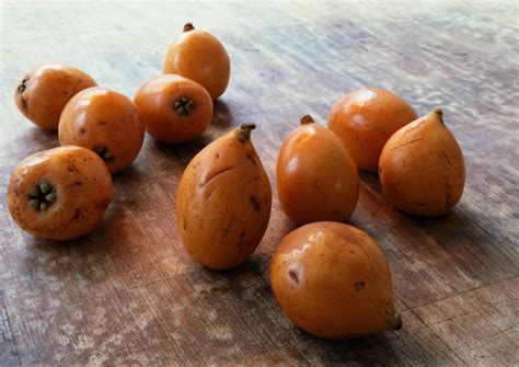 Exploring the Origins of Indigenous Pome Fruit