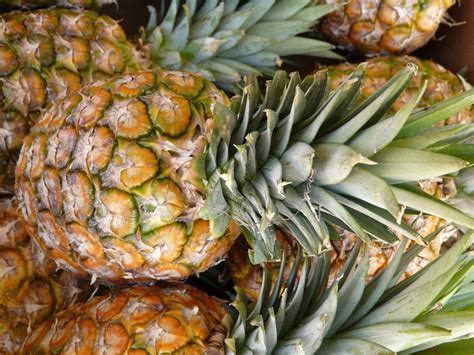 Exploring the Origins of Pineapple: From South America to Your Plate