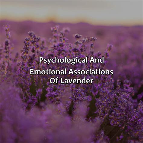 Exploring the Physical and Emotional Associations of Lavender in Dreams