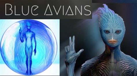 Exploring the Positive Messages in Dreams of Young Azure Avians