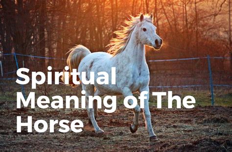 Exploring the Profound Spiritual Significance of Equine Affection