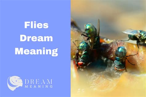 Exploring the Profound Symbolism of Fly Dreams