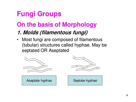 Exploring the Psychological Implications of Fungal Growth in the Oral Cavity