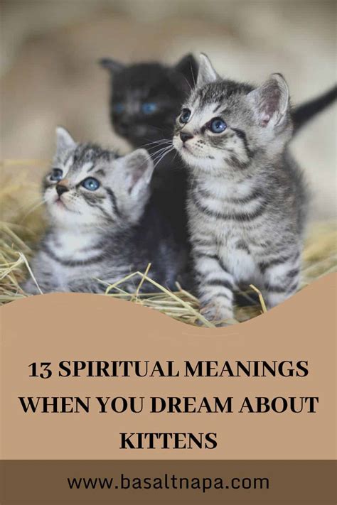Exploring the Psychological Interpretation of Dreaming about a Charcoal Kitten