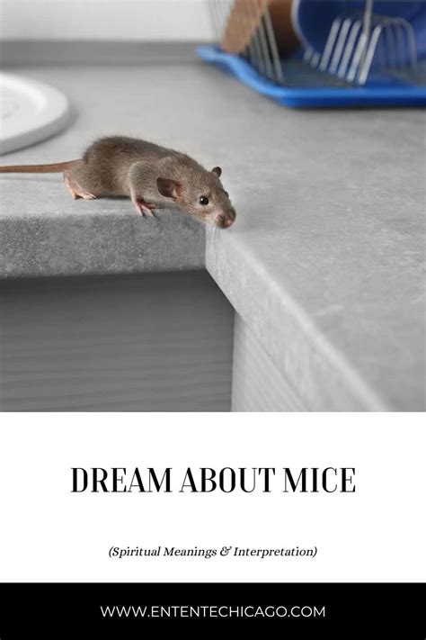Exploring the Psychological Interpretations of Mouse Dreams