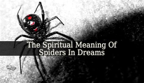 Exploring the Psychological Significance of Arachnids in Dreams