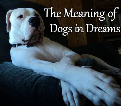 Exploring the Psychological Significance of Canine Submersion in Dreams
