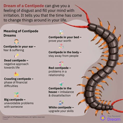 Exploring the Psychological Significance of Centipede Bites in Dreams