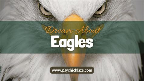 Exploring the Psychological Significance of Dreaming about Eagle Aggressions