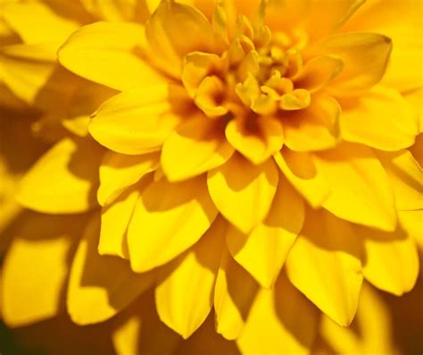 Exploring the Psychology of Color: How the Radiance of Yellow Sparks Creativity and Fuels Innovation