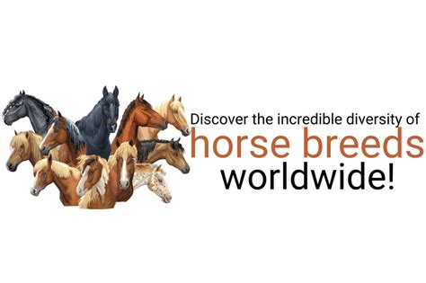 Exploring the Rich Diversity of Equine Breeds