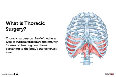 Exploring the Significance Behind Thoracic Procedures