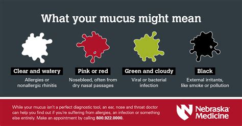Exploring the Significance of Mucus in the Human Body