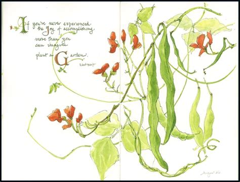 Exploring the Significance of Scarlet Legumes in Literary Works and Artistic Creations