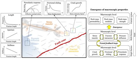 Exploring the Significance of a Fractured Arbor: Insights from an Environmental Perspective