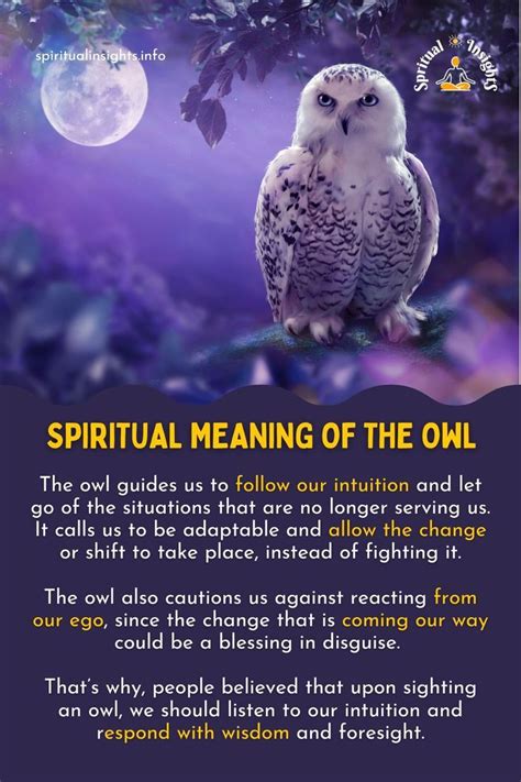 Exploring the Spiritual Significance of Owls with Tearful Eyes