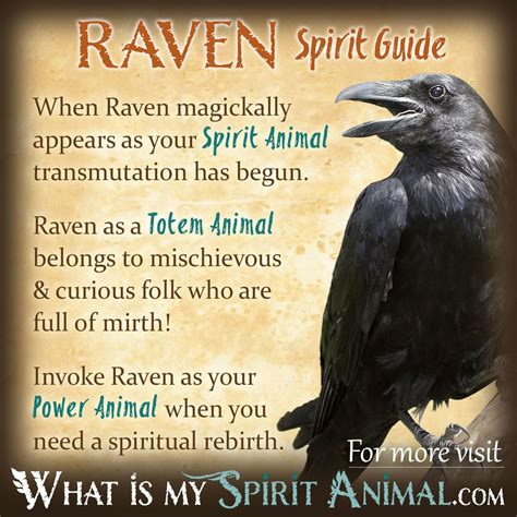 Exploring the Spiritual and Personal Significance Behind Pursuing the Raven