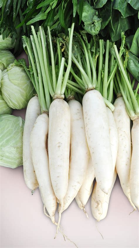 Exploring the Surprising Health Benefits of White Radish