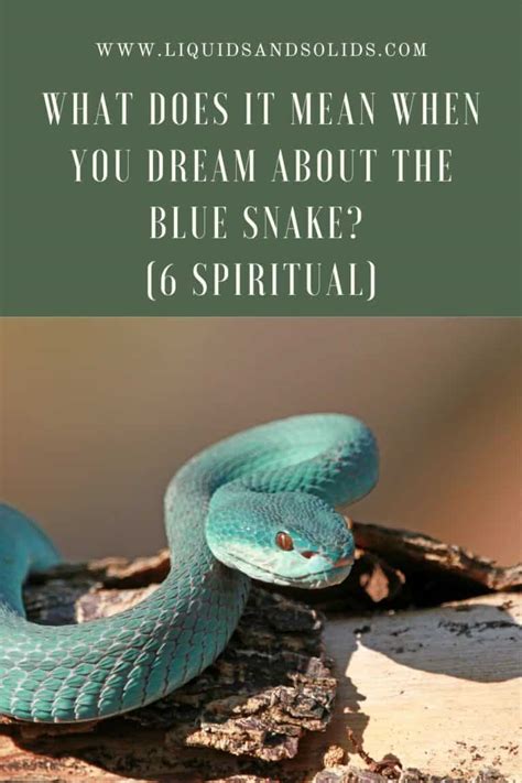 Exploring the Symbolic Meaning of Colors in Snake Dreams