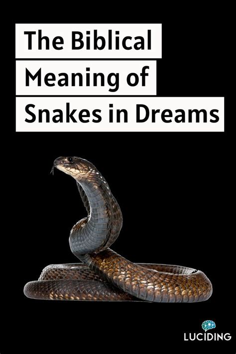 Exploring the Symbolic Meaning of Serpents in Dreams