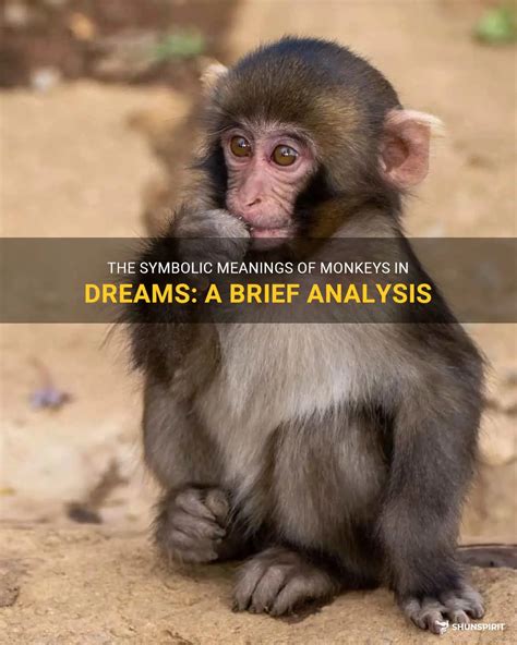 Exploring the Symbolic Meanings in Monkey Dreams