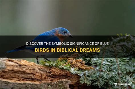 Exploring the Symbolic Significance of Birds in Dreams