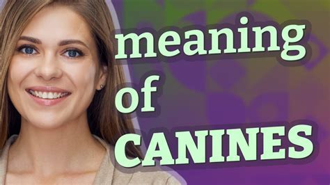 Exploring the Symbolic Significance of Canines and Offspring in Dream Interpretation